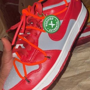 Off white Nike dunk